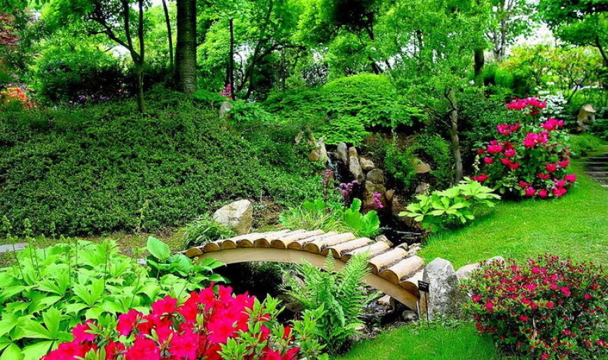 Основные ошибки при благоустройстве сада