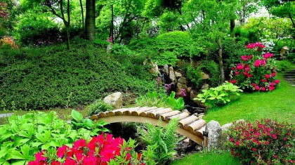 Основные ошибки при благоустройстве сада