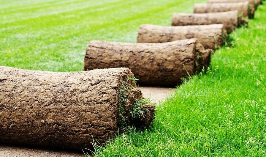 Как ухаживать за рулонным газоном после укладки