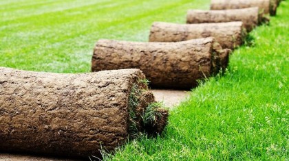 Как ухаживать за рулонным газоном после укладки